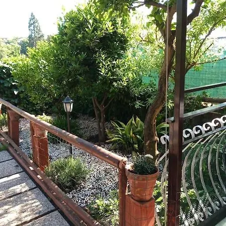 Loft Sotto Il Vulcano, Con Posto Auto Privato Zafferana Etnea Esterno foto