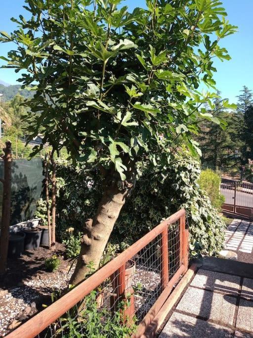 Loft Sotto Il Vulcano, Con Posto Auto Privato Holiday home *
